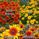 하늘바라기 - 창원시 마산합포구 대평안길 74 | 하늘바라기