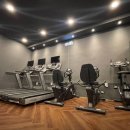 프로바디핏 이미지