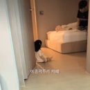 삼성 vs KIA 선택한 애기 이미지