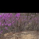 산책하다 이미지