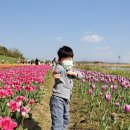 파주세무서 이미지