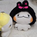 푸루무스튜디오 이미지
