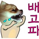 없   음 이미지
