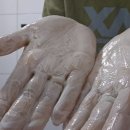 워시에브리데이 | 에브리데이 폼폼 샴푸바 바디바 클렌징바 솔직 사용후기