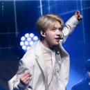 호텔나무 이미지