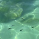 용화목욕탕 이미지