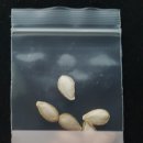 송원농장 이미지