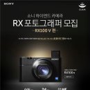 포토그래퍼김유리 이미지