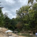 진배목장 | 남양주 아이와 가볼만한곳 산들 소리 수목원 카페