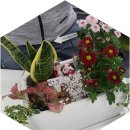 마음을 심는 원예테라피 이미지