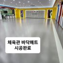 태권스토리 이미지