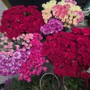 이레마트 이미지