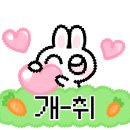 팜스픽 이미지