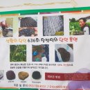떡도리 이미지