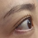참뷰티(참-뷰티) | [아산 탕정 속눈썹펌] 손상도가 적은 속눈썹펌 "참뷰티" 후기
