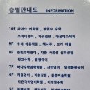 큰다솜한의원 이미지