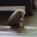 (주)미래생명그룹 | 미래내일일경험사업 서한그룹 드림버스컴퍼니: 한국무브넥스 인사 인턴십 후기