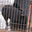 참살이영농조합법인 이미지