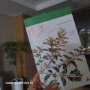 학사호프 이미지