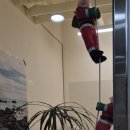 마곡역 1번출구 앞 이미지