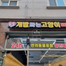 개밥파는고양이은평