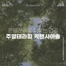 케렌시아 솔 이미지