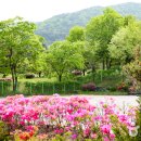 청주랜드관리사업소(동물원) 이미지