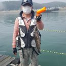 수진좌대 이미지