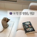 앤디프로젝트 | SF 영화 개봉 <프로젝트 헤일메리> 앤디위어 (원작소설 줄거리,결말 후기)