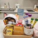 초록언덕펜션 | 거제 1박 2일 여행코스 바람의언덕 매미성 거제자쿠지펜션 어나더데이