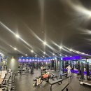 바로피트니스 이미지