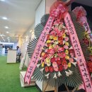 샘터유치원 | 개업식화환 1개당 3만원 배송후기★화환수거 무료서비스