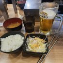 후쿠오카 3박 4일 여행 DAY1 (키와미야함바그, 후르츠가든 신선, 요도바시카메라, 캐널시티, 니쿠토사케...