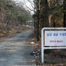 겟세마니 동산 이미지