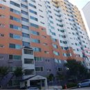 남양주도곡초등학교 이미지