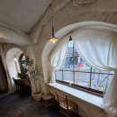 신촌지구 | [신촌역 카페] 애견동반 가능한 조용한 유럽감성 햇살맛집 카페! 신촌 카페 에이닐 내돈내산 후기