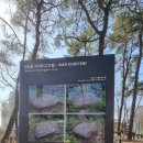 병점동 지석묘(고인돌) 이미지