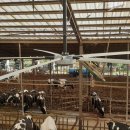 크로바목장 이미지