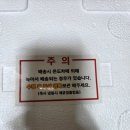 태안농산 아이스군고구마 해풍맞은 꿀 고구마 정보 후기 맛
