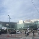 유잼도시 대전여행 고고(진로집, 삼요소, 숍비피, 대전홍보관, 농민순대)