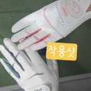 반양 지맥스 <b>반양</b>피 연습용 골프장갑 여성 남성 양손 연습용 추천