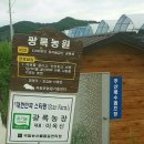 광록농장 이미지