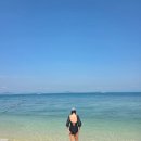 호텔 더 시스타 | 푸켓여행&gt;시스타에서 피피섬투어 다녀왔어요🏝️