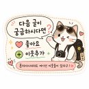나무그늘포토타임 | [여자혼자 이집트여행] 시와 사막투어 후기 | 지프·샌드보드·사하라·석양·바베큐 까지