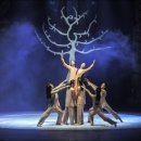 태양의 축제 이미지