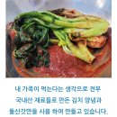 남산북9길 | 이노집 여수 갓김치 판매 시작, 새해 단체 명절선물 세트로 추천!
