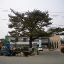 남이면 면사무소 이미지