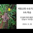 색동빈 이미지