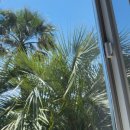 대금목장 이미지