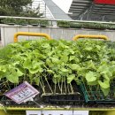 하나로농장-3 이미지